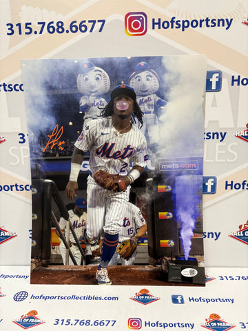 LUISANGEL ACUNA NY METS SIGNED 11X14 JSA WITNESSED