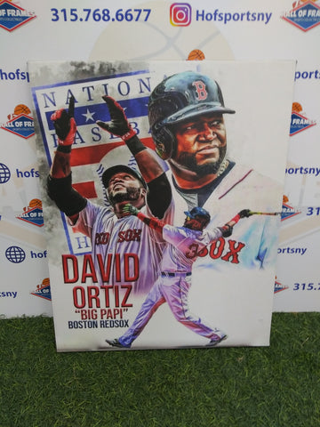 DAVID ORTIZ COLLAGE BOSTON RED SOX  16X20 CUSTOM CANVAS PRINT - READY TO HANG