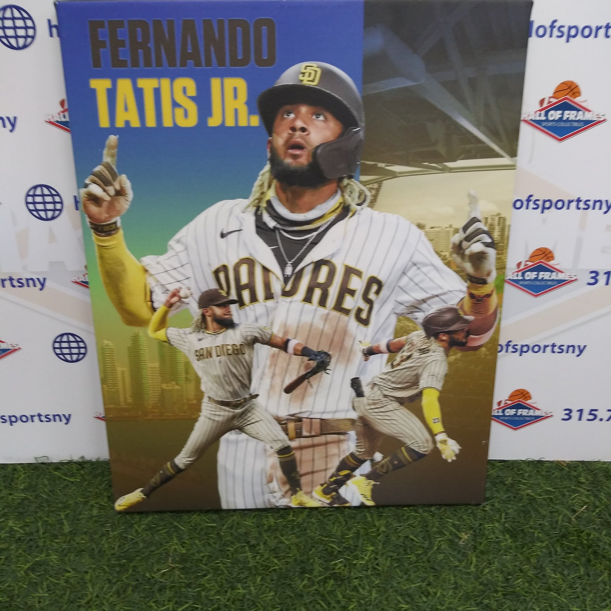 FERNANDO TATIS JR SAN DIEGO PADRES 16X20 CUSTOM CANVAS PRINT - READY TO HANG