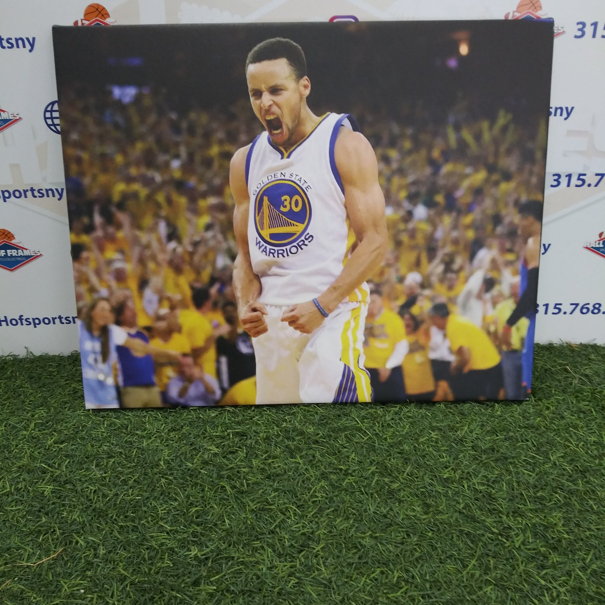 STEPHEN CURRY GOLDEN STATE WARRIORS 16X20 CUSTOM CANVAS PRINT - READY TO HANG