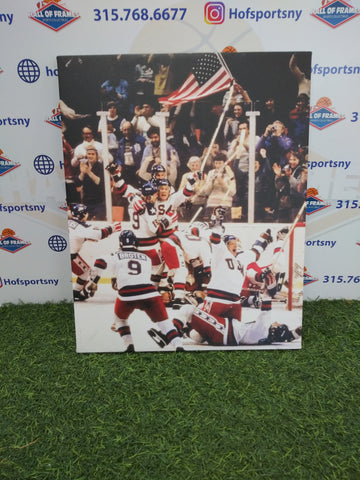 1980 TEAM USA HOCKEY MIRACLE ON ICE CELEBRATION 16X20 CUSTOM CANVAS PRINT - READY TO HANG