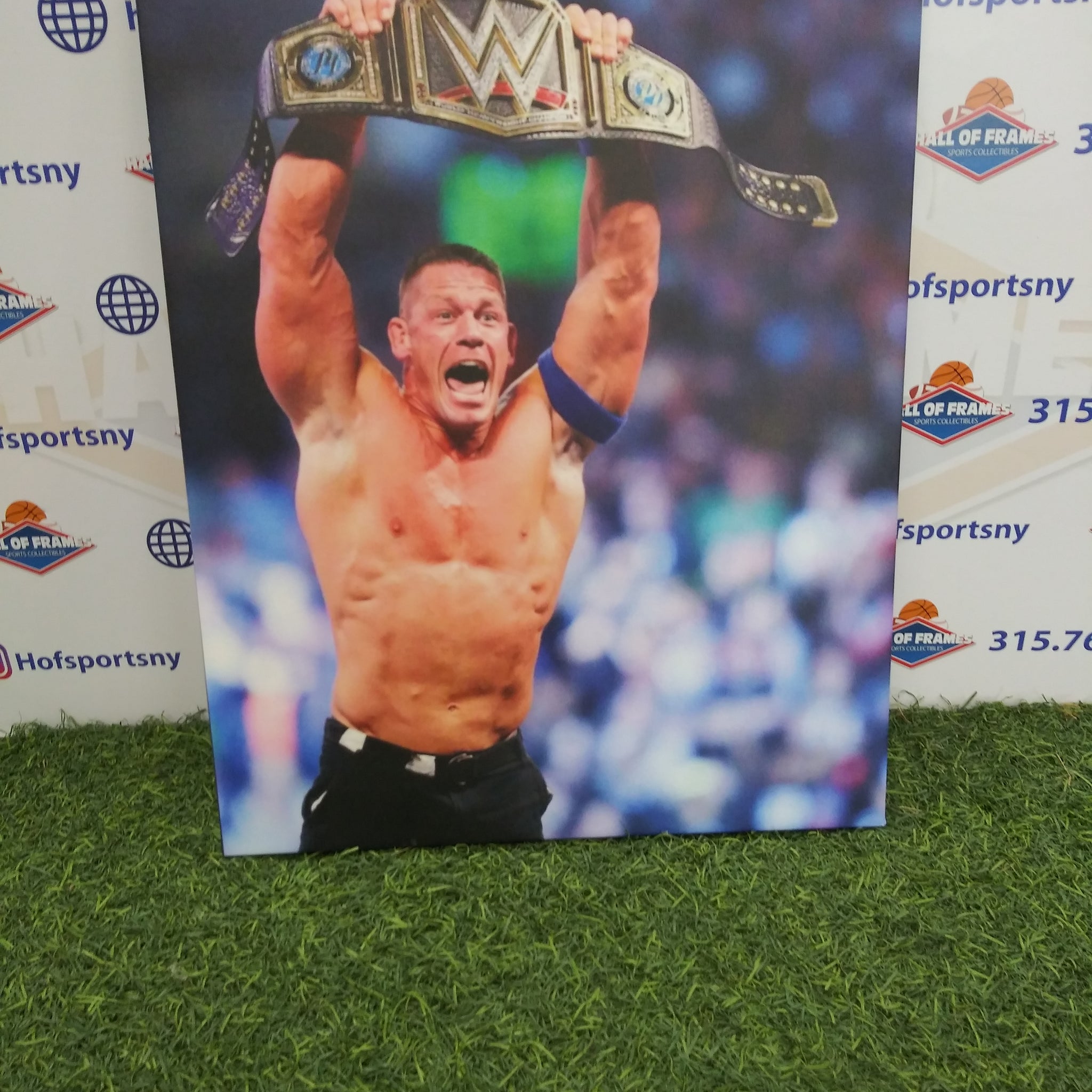 JOHN CENA 16X20 CUSTOM CANVAS PRINT - READY TO HANG