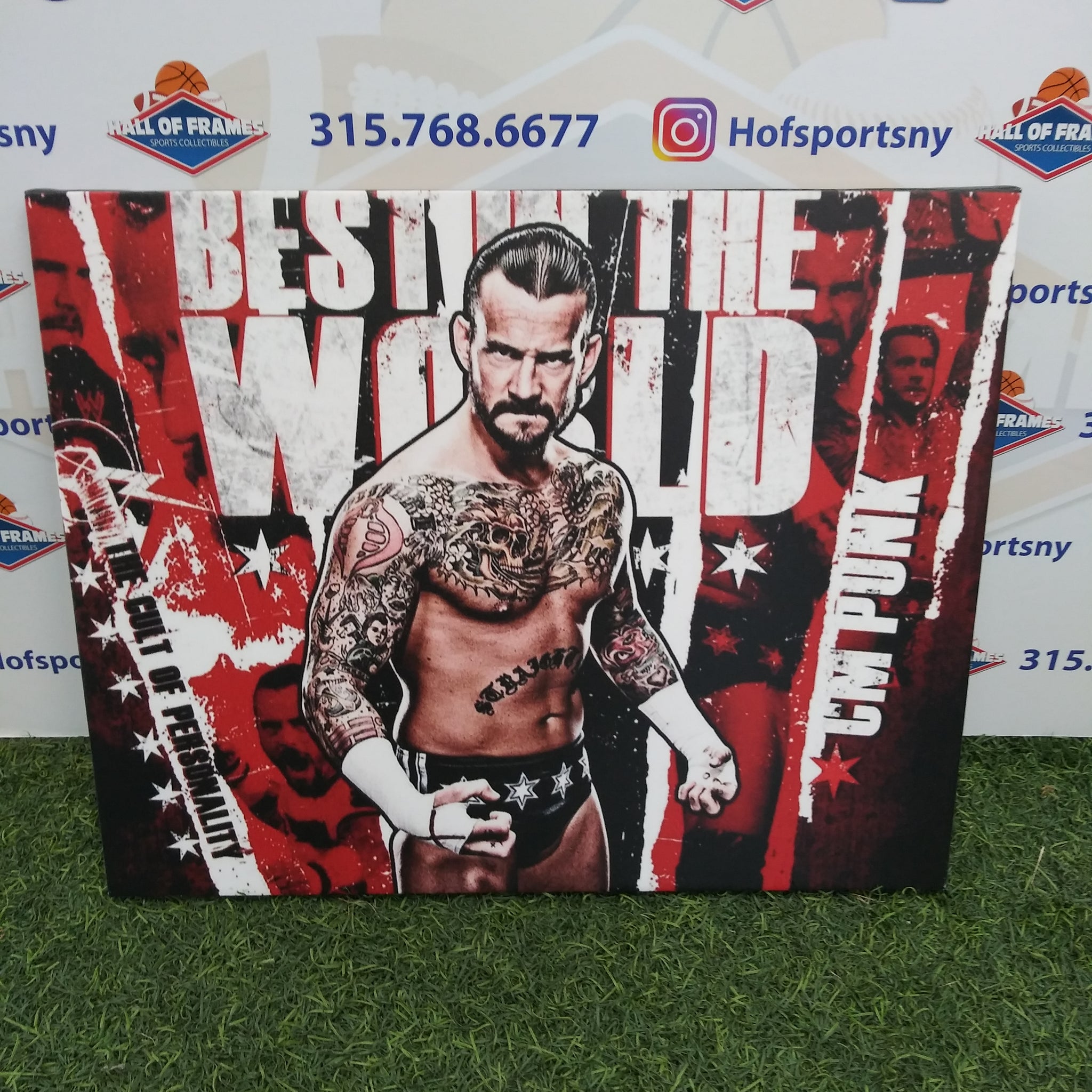 CM PUNK 16X20 CUSTOM CANVAS PRINT - READY TO HANG