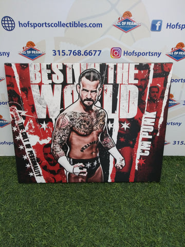 CM PUNK 16X20 CUSTOM CANVAS PRINT - READY TO HANG