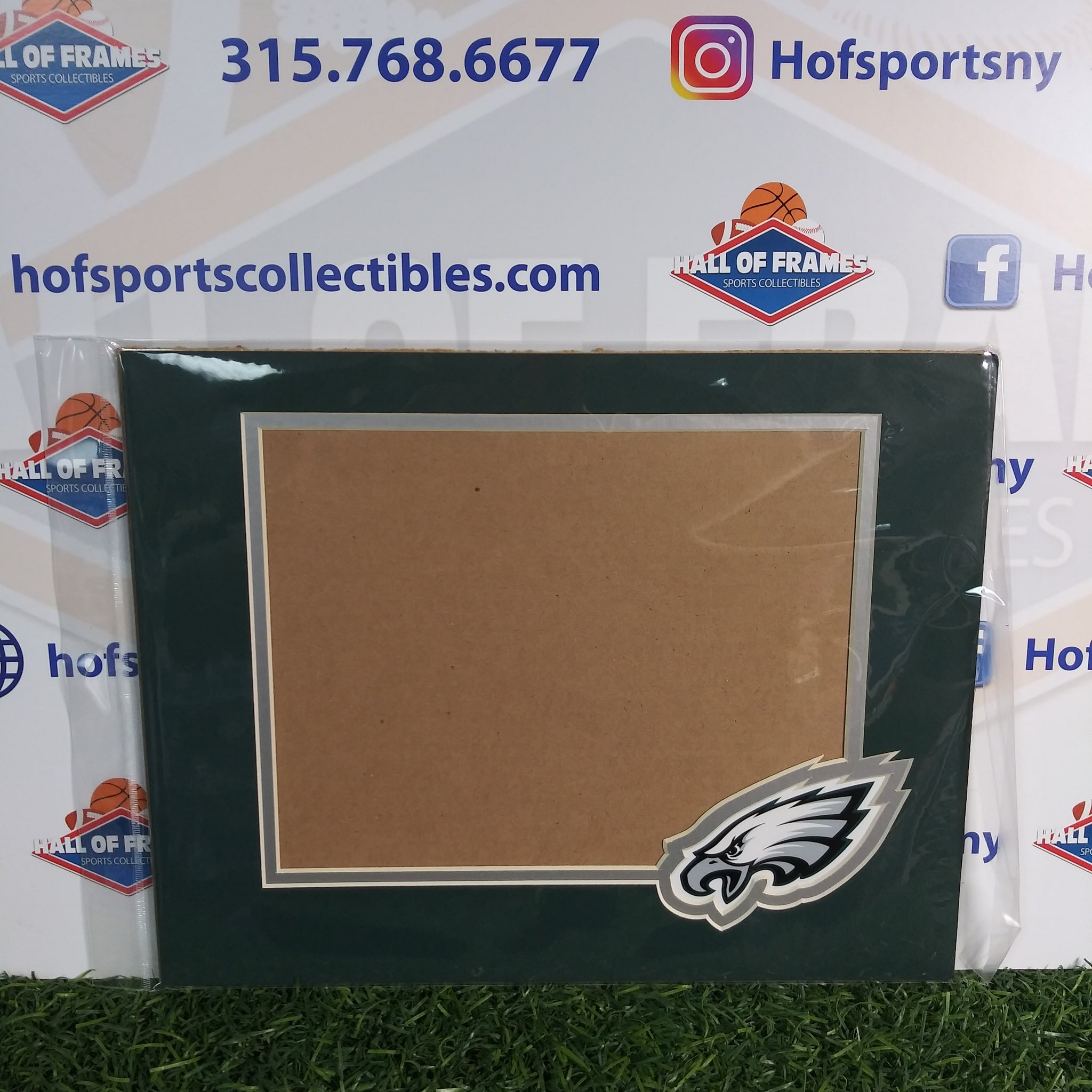 PHILADELPHIA EAGLES PHOTOFILE 11X14 HORIZONTAL MAT WITH LOGO! FITS 8X10 PHOTO!