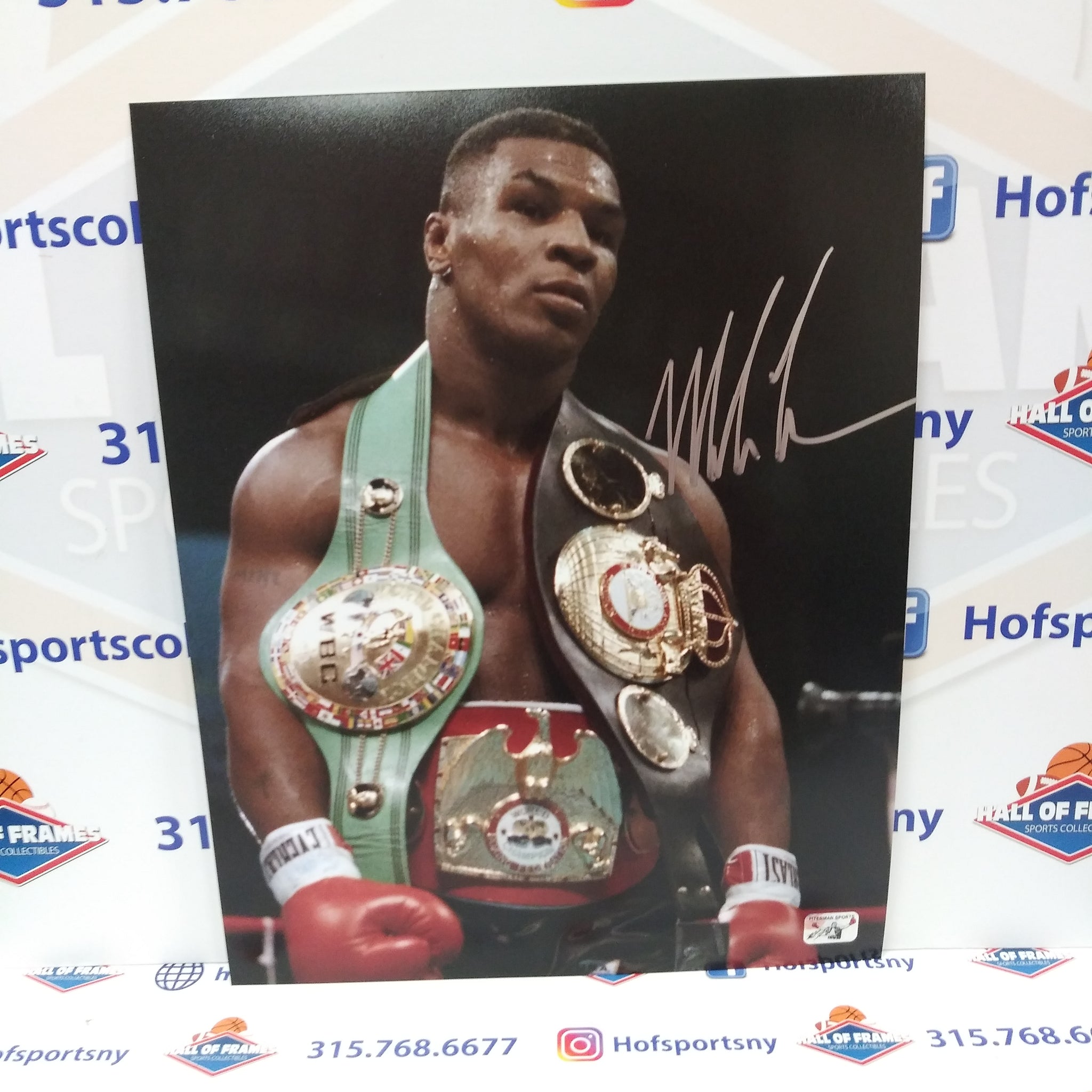 MIKE TYSON SIGNED CHAMPIONSHIP BELTS 11X14 PHOTO - FITERMAN COA