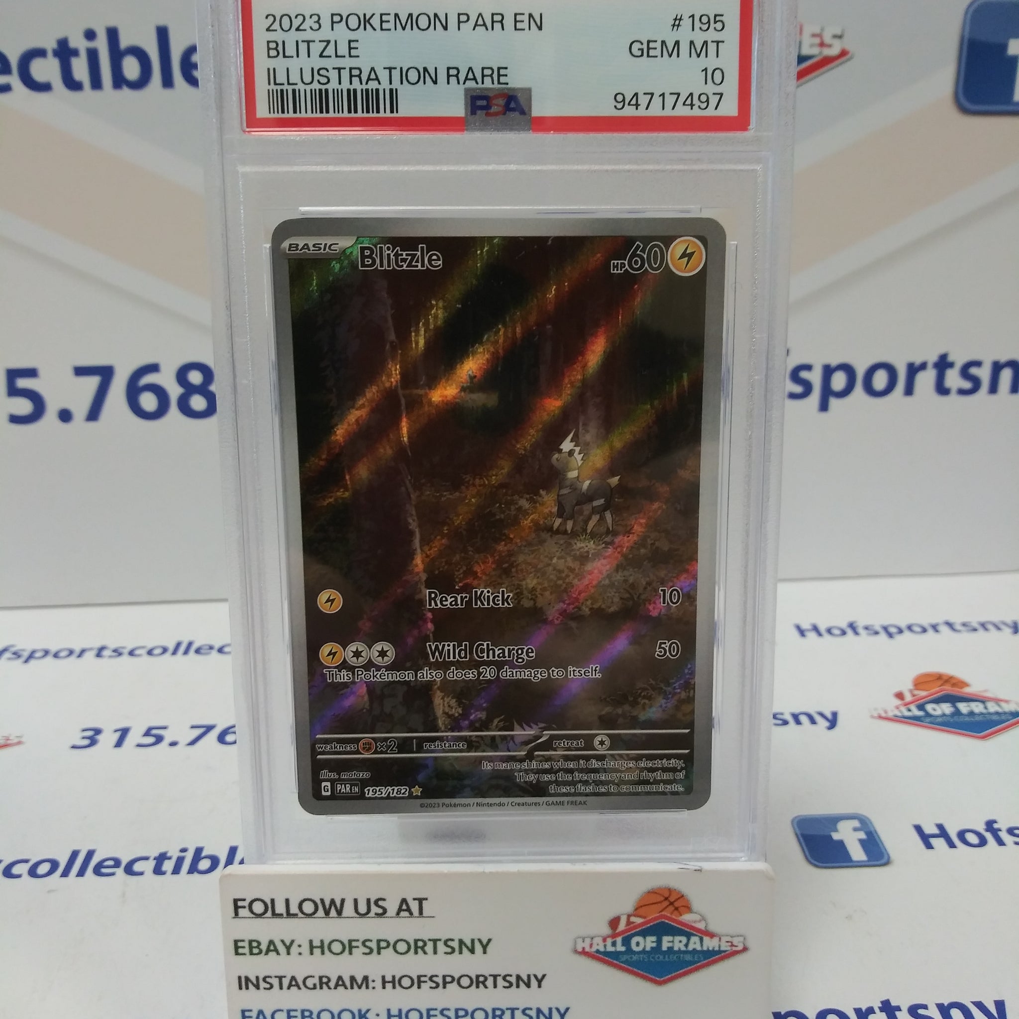 2024 POKEMON PALDEA EVOLVED BLITZLE ILLUSTRATION RARE #195 PSA 10 GEM MINT!