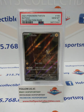2024 POKEMON PALDEA EVOLVED BLITZLE ILLUSTRATION RARE #195 PSA 10 GEM MINT!