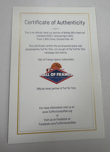 BUFFALO BILLS AUTHENTIC FIELD TURF DOOR MAT - 24”x 30”