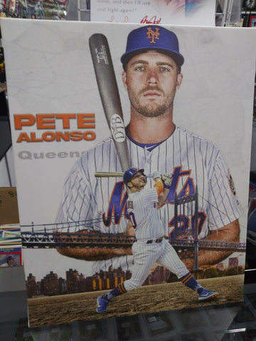 PETE ALONSO METS 16X20 CUSTOM CANVAS PRINT - READY TO HANG